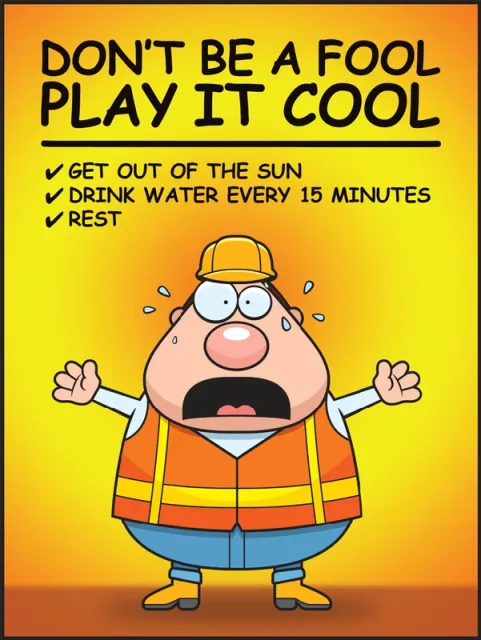 Accuform SP125032 22"" x 17"" Safety Posters: Don't Be A Fool - Play It Cool