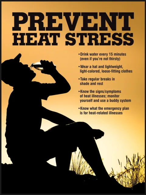 Accuform SP125033 22"" x 17"" Safety Posters: Prevent Heat Stress