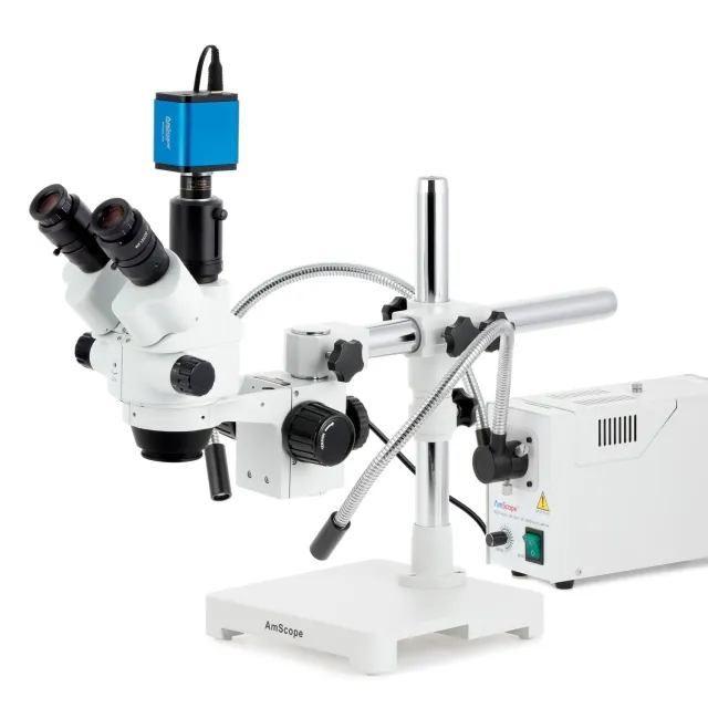 AmScope SM-3 Series SM-3NTPX-FOR-HD22 – Shop Stereo Trinocular ...