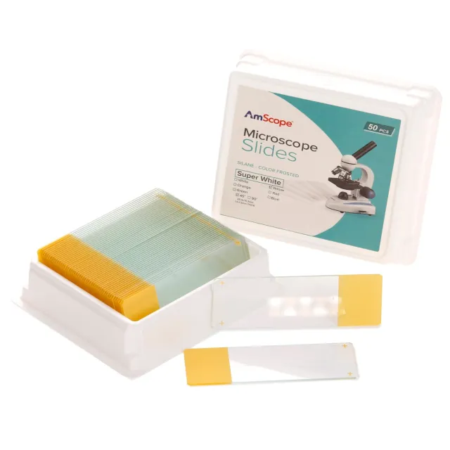 AmScope BS-FSIL50-Y 50pc Blank Silane Slides with Single Frosted, Yellow-Coated Side
