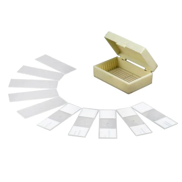 AmScope PB10 10pc Prepared and Blank Glass Microscope Slides in Plastic Case