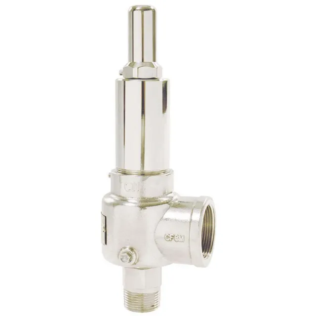 Apollo 544DCBNNAA0120Q Multi-Purpose Safety Relief Valve: 1/2"" Inlet, 120 Max psi