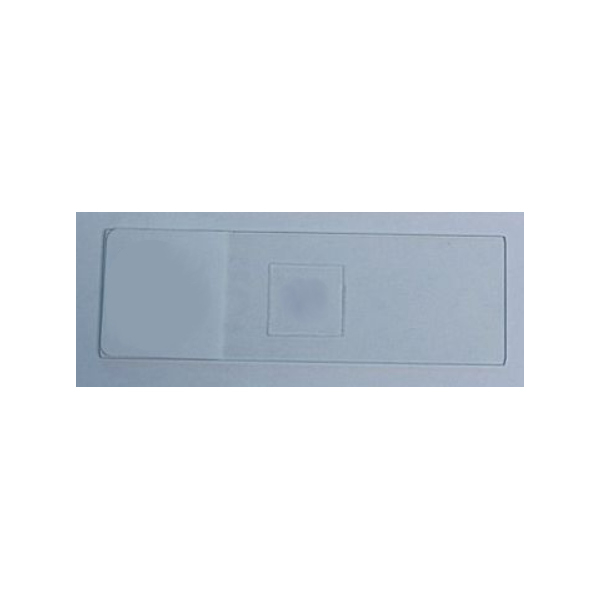 500-10 Microscope Slide Bacteria, Smear from Mouth by United Scientific Supplies