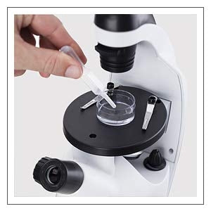 AmScope-IN50C-PS25-WM-EXCL1-E1