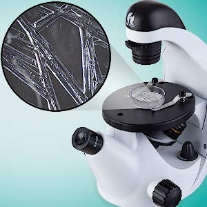 AmScope-IN50C-PS25-WM-EXCL1-E1