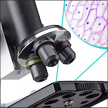 AmScope-M40-K-MDM35