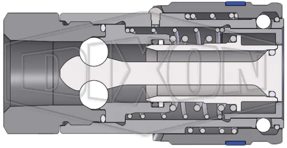 Schema