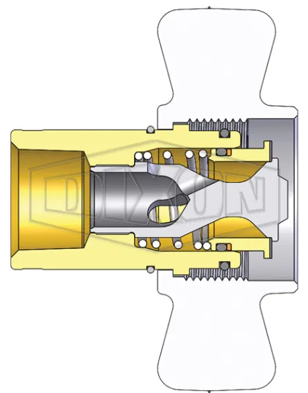 Schema