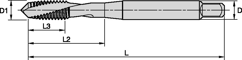 Size Scheme