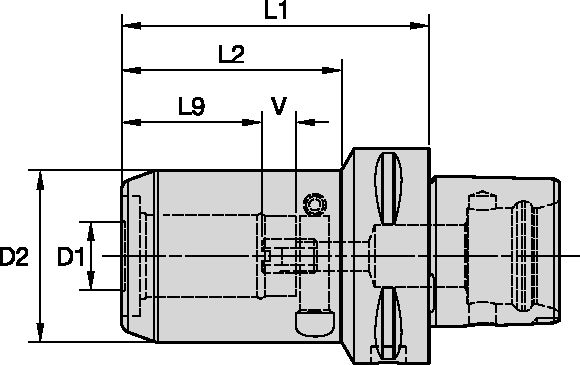 Size Scheme