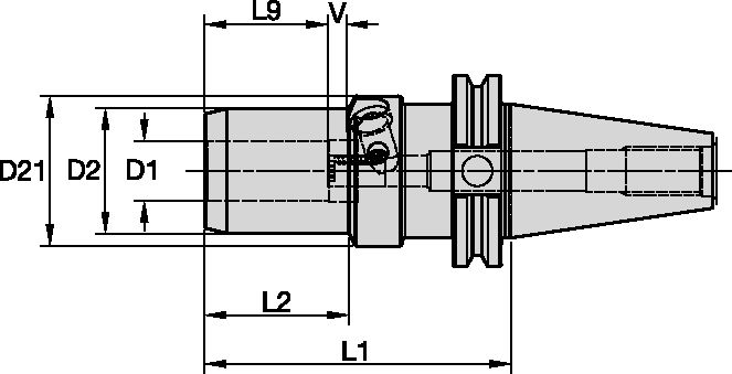 Size Scheme