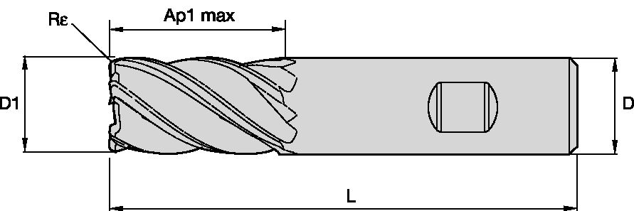 Size Scheme