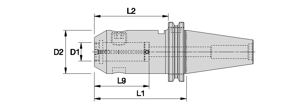 Size Scheme