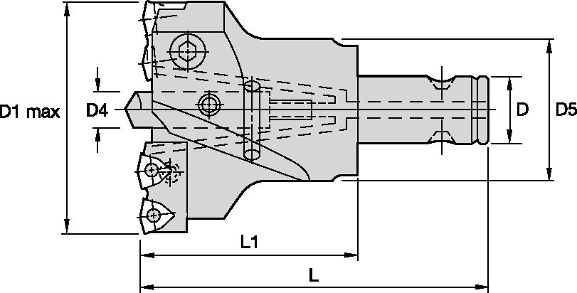 Size Scheme