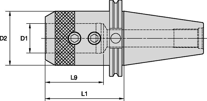 Size Scheme