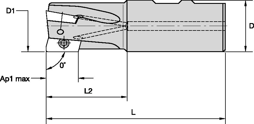Size Scheme