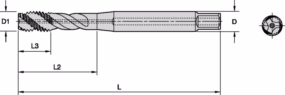 Size Scheme